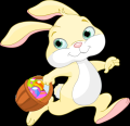 [Basket Bunny]