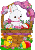 [Basket Bunny 2]