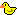 [duckie]