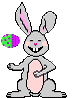 [Bunny Animated]